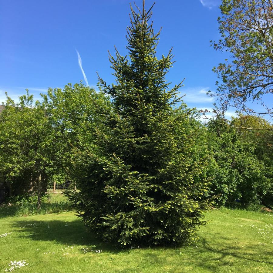 Lieu Dit Le Jardin Saint-Lambert  Kültér fotó